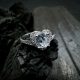 Heart's Desire Halo Engagement Ring